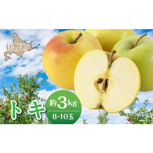 ふるさと納税 りんご 北海道 壮瞥町 2026年10月中旬よりお届け 北海道壮瞥町 りんご 品種名「トキ」8〜10玉 約3kg ふるさと納税 人気 おすすめ ランキング …