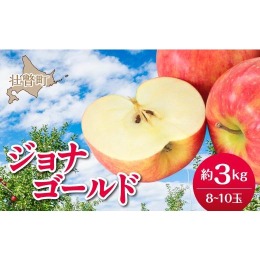 ふるさと納税 りんご 北海道 壮瞥町 2026年10月下旬よりお届け 北海道壮瞥町 りんご 品種名「ジョナゴールド」8〜10玉 約3kg ふるさと納税 人気 おすすめ …