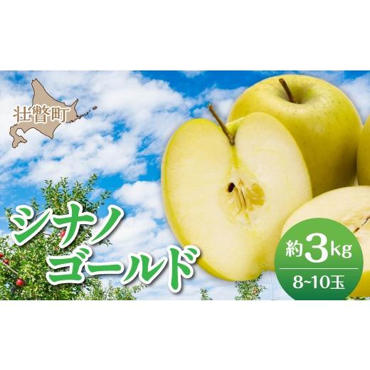 ふるさと納税 りんご 北海道 壮瞥町 2026年11月上旬よりお届け 北海道壮瞥町 りんご 品種名「シナノゴールド」8〜10玉 約3kg ふるさと納税 人気 おすすめ …