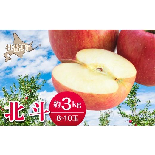 ふるさと納税 りんご 北海道 壮瞥町 2026年11月中旬よりお届け 北海道壮瞥町 りんご 品種名「北斗」8〜10玉 約3kg ふるさと納税 人気 おすすめ ランキング …
