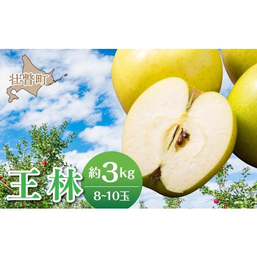 ふるさと納税 りんご 北海道 壮瞥町 2026年11月中旬よりお届け 北海道壮瞥町 りんご 品種名「王林」8〜10玉 約3kg ふるさと納税 人気 おすすめ ランキング …