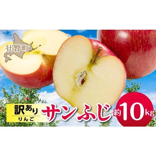 ふるさと納税 りんご 北海道 壮瞥町 2026年12月上旬よりお届け 北海道壮瞥町 訳ありりんご 品種名「サンふじ」約10kg ふるさと納税 人気 おすすめ ランキン…