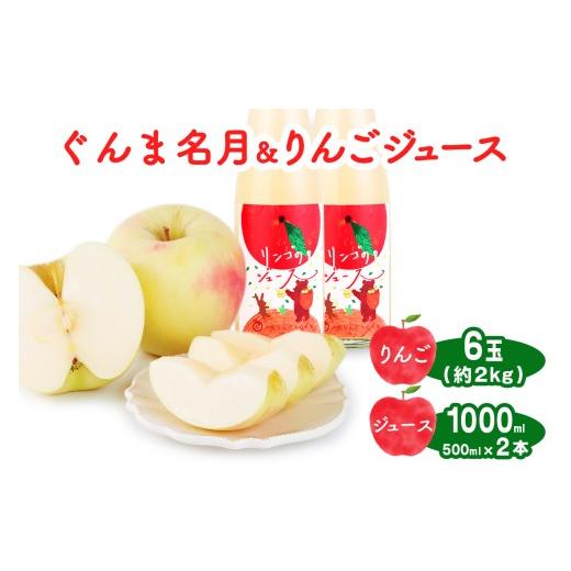 ふるさと納税 りんご 群馬県 甘楽町 ぐんま名月 6玉(約2kg)&りんごジュース2本セット 群馬県甘楽町産|井田りんご園 林檎 リンゴ アップルジュース 果物 飲料…