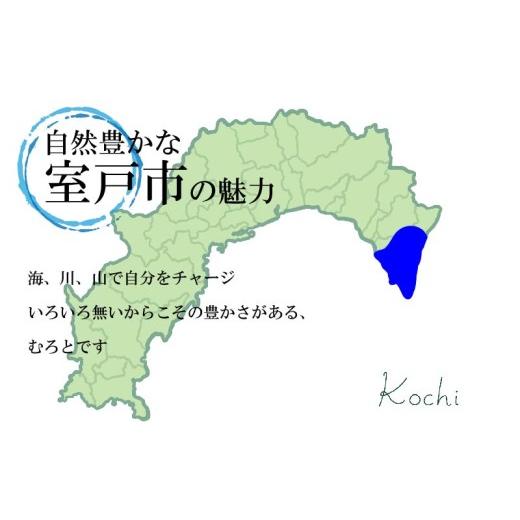 ふるさと納税 カツオ 高知県 室戸市  年6回奇数月定期便 かつおのたたき 4 節 (1節400〜460g） | 室戸海洋深層水の塩 藁焼き 塩たたき かつおのたたき カツオ…_5