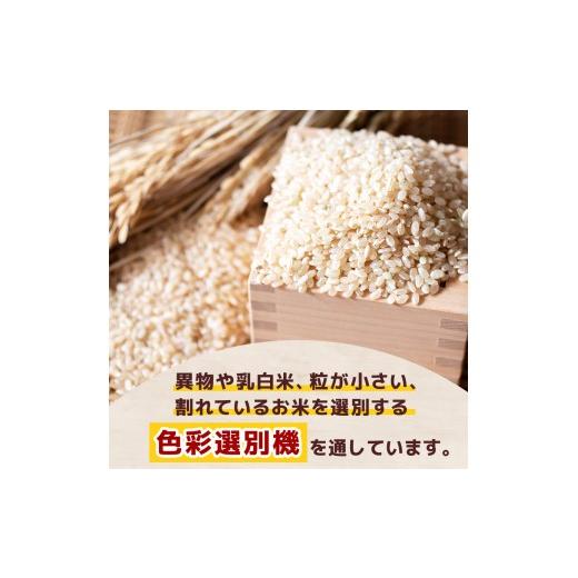 ふるさと納税 米 コシヒカリ 栃木県 那珂川町  栃木県共通返礼品 令和8年度産 定期3回 訳あり 栃木県産コシヒカリ 無洗米 5kg×2 10kg | 定期便 選べる ふるさ…の画像