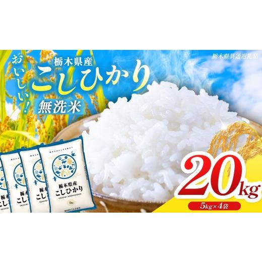 ふるさと納税 米 コシヒカリ 栃木県 那珂川町 栃木県共通返礼品 先行予約 令和8年度産 訳あり 栃木県産コシヒカリ 無洗米 5kg×4 20kg | 定期便 選べる ふる…