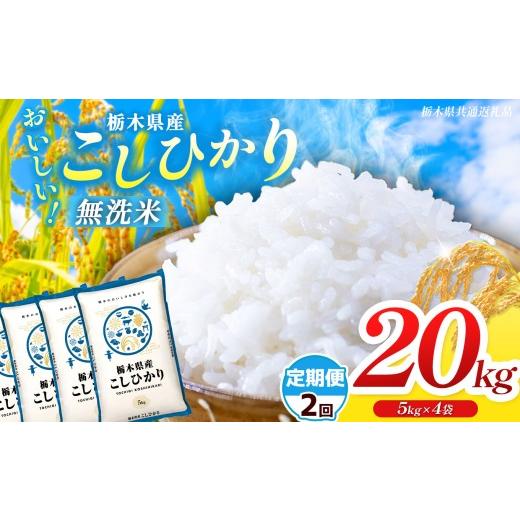 ふるさと納税 米 コシヒカリ 栃木県 那珂川町 栃木県共通返礼品 先行予約 令和8年度産 定期2回 訳あり 栃木県産コシヒカリ 無洗米 5kg×4 20kg | 定期便 選べ…