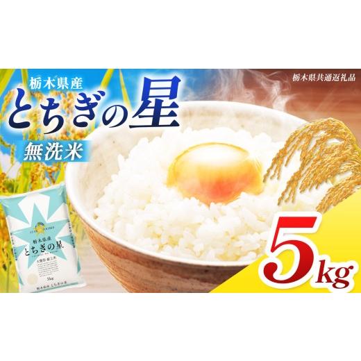 ふるさと納税 米 栃木県 那珂川町 栃木県共通返礼品 先行予約 令和8年度産 訳あり 栃木県産 とちぎの星 無洗米 5kg | 定期便 選べる ふるさと 納税 コシヒカ…