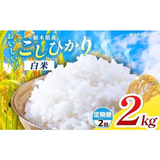 ふるさと納税 米 コシヒカリ 栃木県 那珂川町 栃木県共通返礼品 先行予約 令和8年度産 定期2回 訳あり 栃木県産 コシヒカリ 2kg |定期便 選べる ふるさと 納…