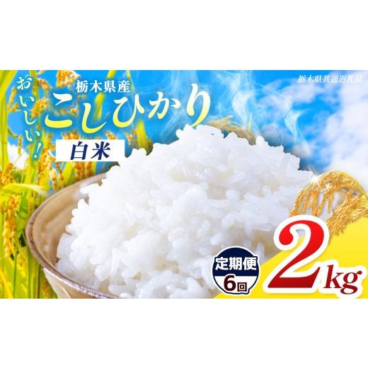 ふるさと納税 米 コシヒカリ 栃木県 那珂川町 ふるさと納税 新米 米 定期便 選べる 訳あり 令和8年度産 先行予約 食べ比べ 内容量 コシヒカリ | 栃木県共通返…