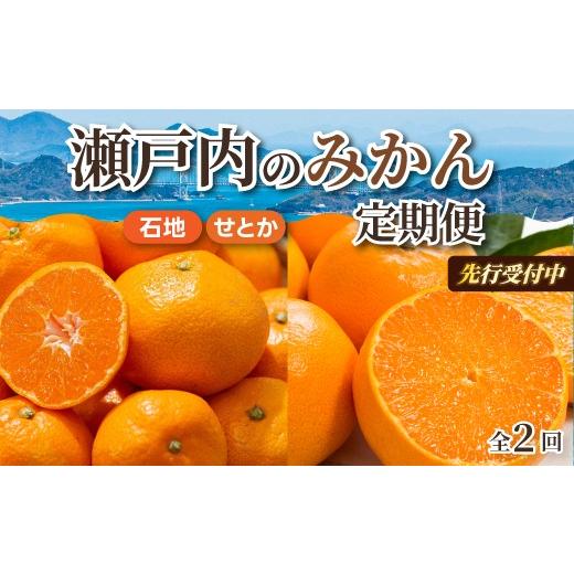 ふるさと納税 果物類 みかん 広島県 三原市 数量限定 先行受付 柑橘食べ比べ定期便(石地みかん・せとか) 各2.5kg フルーツ 果物 みかん オレンジ 産地直送 …
