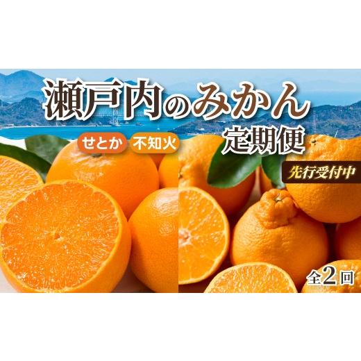 ふるさと納税 果物類 みかん 広島県 三原市 数量限定 先行受付 柑橘食べ比べ定期便 せとか 2.5kg・不知火 2kg フルーツ 果物 みかん オレンジ デコポン しら…