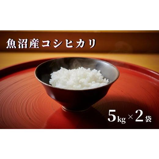 ふるさと納税 米 コシヒカリ 新潟県 津南町 令和7年産 魚沼産コシヒカリ 10kg(5kg×2袋) 特別栽培米 | 新潟産コシヒカリ 新潟県産コシヒカリ 魚沼産こしひか…