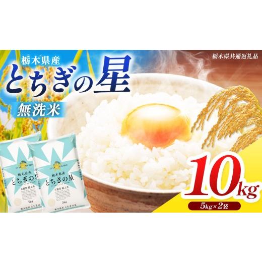 ふるさと納税 米 栃木県 那珂川町 栃木県共通返礼品 先行予約 令和8年度産 訳あり 栃木県産 とちぎの星 無洗米 5kg×2 10kg | 定期便 選べる ふるさと 納税 …