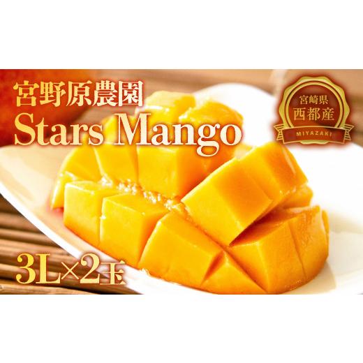 ふるさと納税 マンゴー 宮崎県 西都市 宮野原農園・糖度13度以上 厳選したスターズマンゴー 大玉 3Lサイズ2個 完熟マンゴー 生産者直送 宮崎マンゴー 果物 フ…