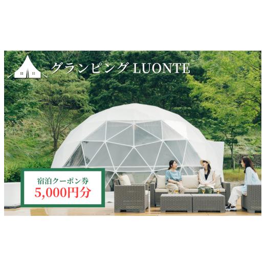 ふるさと納税 宿泊券 愛媛県 四国中央市 グランピングLUONTE 5000円クーポン券 宿泊クーポン:5,000円分