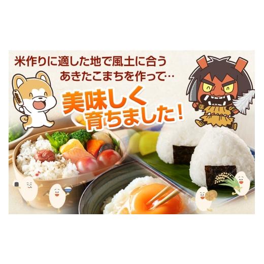 ☆兵庫県北部産☆鹿角 70本まとめ売り 兵庫県北部産☆鹿角 70本まとめ