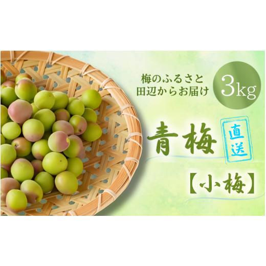 ふるさと納税 加工品等 梅干 和歌山県 田辺市 先行予約 青梅 小梅 3kg(2026年5月頃から順次発送予定) / 生梅 梅干し 小粒 梅酒 梅ジャム 梅シロップ 産地…