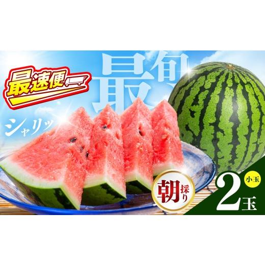 ふるさと納税 スイカ 熊本県 和水町 最速便 順次出荷中 小玉スイカ 熊本和水町産 スイカ 小玉 2玉 翌営業日 〜 7営業日で発送 | 熊本県 和水町 くまもと なご…