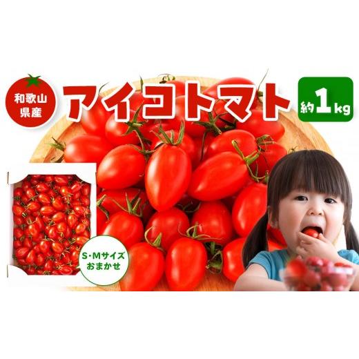 ふるさと納税 トマト ミニトマト 和歌山県 高野町 [2026年5月出荷分]和歌山産ミニトマト「アイコトマト」約1kg(S・Mサイズおまかせ)[TM232] [2026年5月…