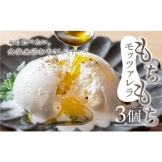 ふるさと納税 加工品等 チーズ 愛知県 豊橋市 食塩無添加やさしいチーズ もちもちモッツアレラ 3個セット 3個セット 10,000円