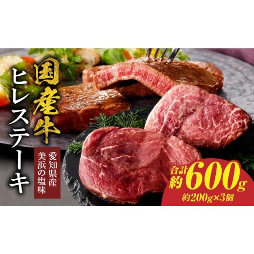 ふるさと納税 牛肉 ヒレ 愛知県 小牧市 食肉総合卸 丸正 国産牛ヒレステーキ 600g 愛知県産美浜の塩味