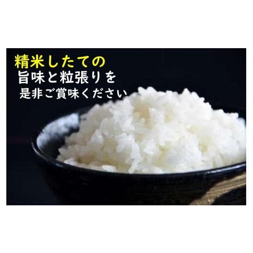 ふるさと納税 米 はえぬき 山形県 最上町 令和7年産 山形県産 特別栽培米 つや姫 精米 約27kg 1袋 精米 約27kg×1袋の画像