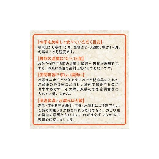 ふるさと納税 米 はえぬき 山形県 最上町 令和7年産 山形県産 特別栽培米 つや姫 精米 約27kg 1袋 精米 約27kg×1袋の画像