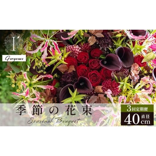 ふるさと納税 花・苗木 花束 兵庫県 芦屋市 季節の花束 3回定期便 [Gorgeous]直径約40cm 花 お花 フラワー 花束 贈り物 贈答ギフト プレゼント 記念日 兵庫…