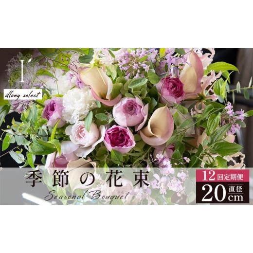 ふるさと納税 花・苗木 花束 兵庫県 芦屋市 季節の花束 12回定期便 [illony select]直径約20cm 花 お花 フラワー 花束 贈り物 贈答ギフト プレゼント 記念日…