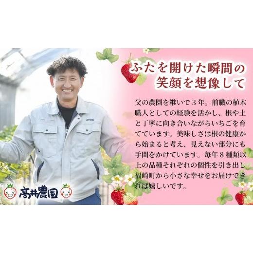 ふるさと納税 菓子 アイス 兵庫県 福崎町  甘さと爽やかさの贅沢セット 業務用4L いちごミルクアイス＆いちごシャーベット 各1個 いちご イチゴ アイス シャー…の画像