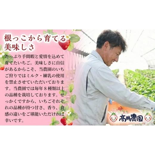 ふるさと納税 菓子 アイス 兵庫県 福崎町  甘さと爽やかさの贅沢セット 業務用4L いちごミルクアイス＆いちごシャーベット 各1個 いちご イチゴ アイス シャー…の画像