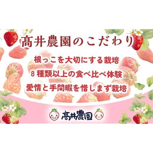ふるさと納税 菓子 アイス 兵庫県 福崎町  甘さと爽やかさの贅沢セット 業務用4L いちごミルクアイス＆いちごシャーベット 各1個 いちご イチゴ アイス シャー…の画像