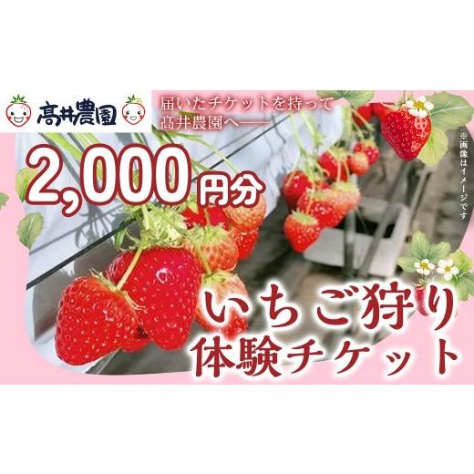 ふるさと納税 体験チケット 兵庫県 福崎町 家族で楽しむ いちご狩り体験チケット 2,000円分 いちご いちご狩り チケット 果物 フルーツ 大粒 濃厚 食べ放題 …