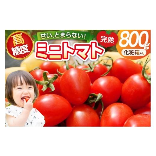 ふるさと納税 トマト ミニトマト 石川県 宝達志水町 トマト 〜高糖度 しあわせのトマト〜 ミニトマト 800g 化粧箱入り 贈答用 会宝産業株式会社 石川県 宝達志…