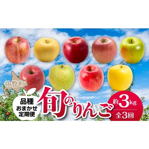 ふるさと納税 りんご 北海道 壮瞥町 先行予約 定期便3回 北海道壮瞥町産りんご おまかせ食べ比べ 約3kg 10月・11月・12月お届け ふるさと納税 定期便 人気 お…