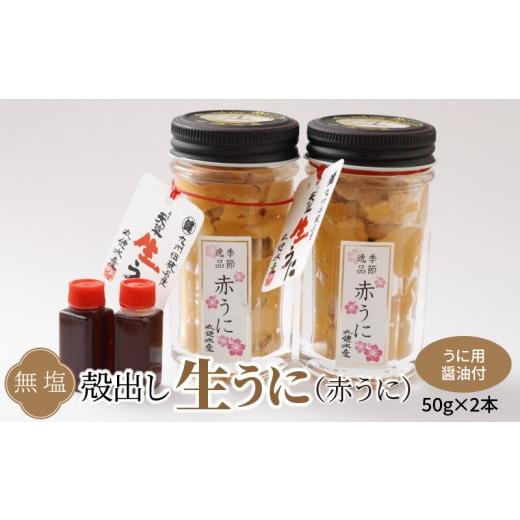 ふるさと納税 ウニ 熊本県 天草市 S002-023_殻出し生うに(赤うに)50g×2本 うに用醤油付