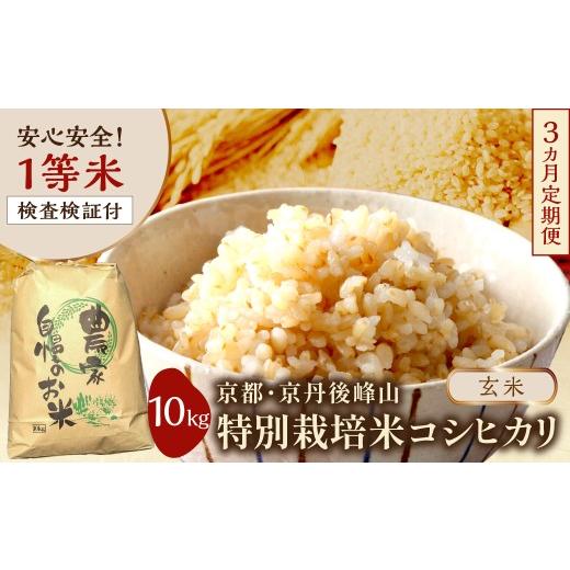 ふるさと納税 玄米 京都府 京丹後市 3ヶ月定期便 2026年産 京都・京丹後峰山 特別栽培米コシヒカリ 10kg 玄米 1等米 検査済証付 ふるさと納税 米 玄米 定期…