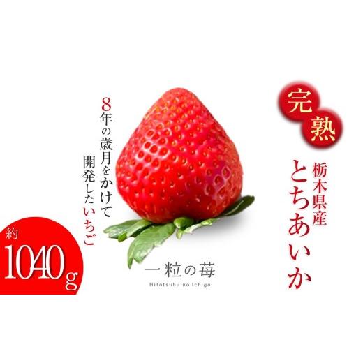 ふるさと納税 いちご 栃木県 真岡市 先行予約 完熟いちご とちあいか 栃木県真岡市産 1040g | 2027 年 先行予約 いちご 苺 strawberry ストロベリー おいしい…