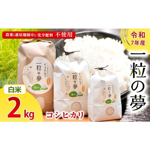 ふるさと納税 米 コシヒカリ 山口県 美祢市 白米 コシヒカリ 2kg 農薬 ( 栽培期間中不使用 )・ 化学肥料不使用 令和7年産 米 | 精米 玄米 米 こしひかり 美祢…