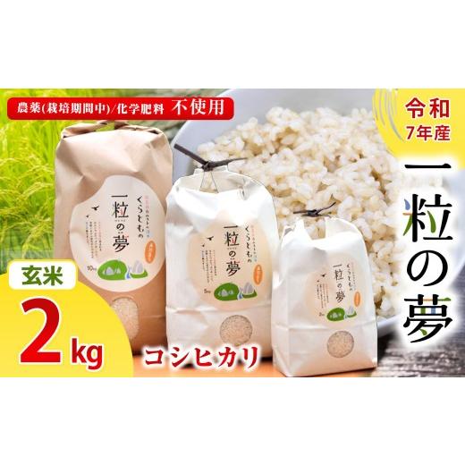 ふるさと納税 米 コシヒカリ 山口県 美祢市 玄米 コシヒカリ 2kg 農薬 ( 栽培期間中不使用 )・ 化学肥料不使用 令和7年産 米 | 精米 玄米 米 こしひかり 美祢…