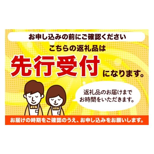 ふるさと納税 野菜類 山菜 秋田県 小坂町 《先行受付》小坂産 ねまがりだけ 1kg 根曲り竹 根曲がり竹 ねまがりだけ チシマザサ 春の味覚 山の幸 お味噌汁 炊き…の画像