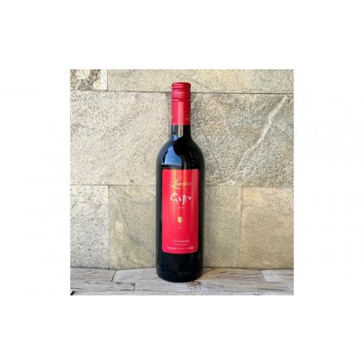ふるさと納税 ワイン 赤ワイン 山梨県 富士河口湖町 ルミエール GABU 750ml 日本ワイン 赤ワイン ライトボディ