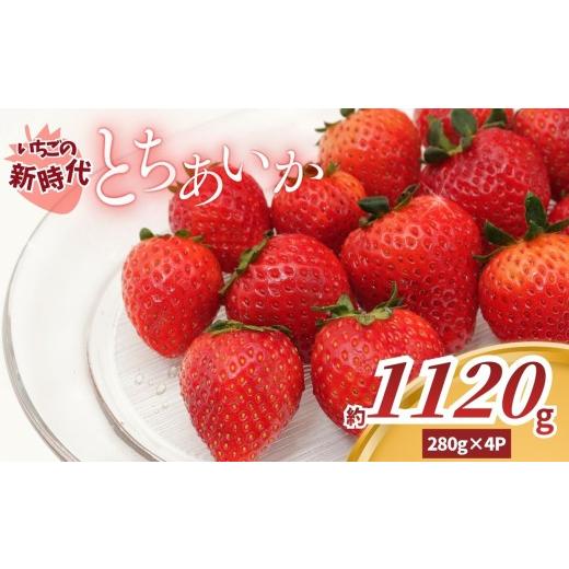 ふるさと納税 いちご 栃木県 矢板市 2027年 先行予約 いちごの新時代「とちあいか」280g×4P(1120g)|栃木県 矢板市産 1回|10,000円