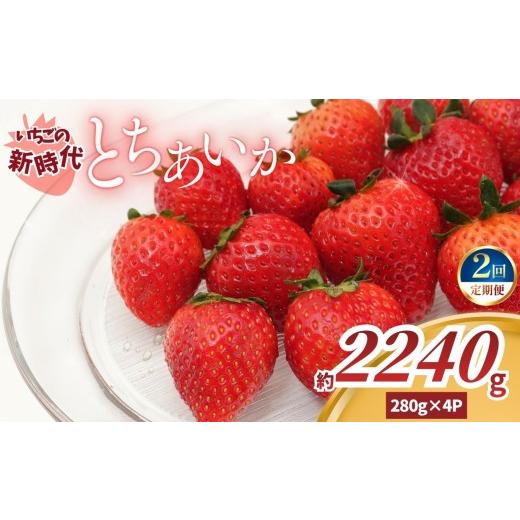 ふるさと納税 いちご 栃木県 矢板市 2027年 先行予約 定期便2回 いちごの新時代「とちあいか」280g×4P×2回(合計2240g)|栃木県 矢板市産 2回|20,000円