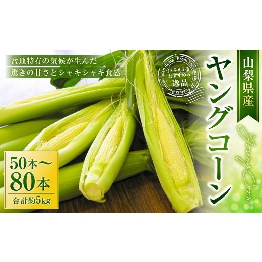 ふるさと納税 とうもろこし 山梨県 中央市 ヤングコーン 約5kg(50〜80本入) 2026年5月上旬〜5月下旬発送予定 とうもろこし スイートコーン 甘み 食感 野菜 …