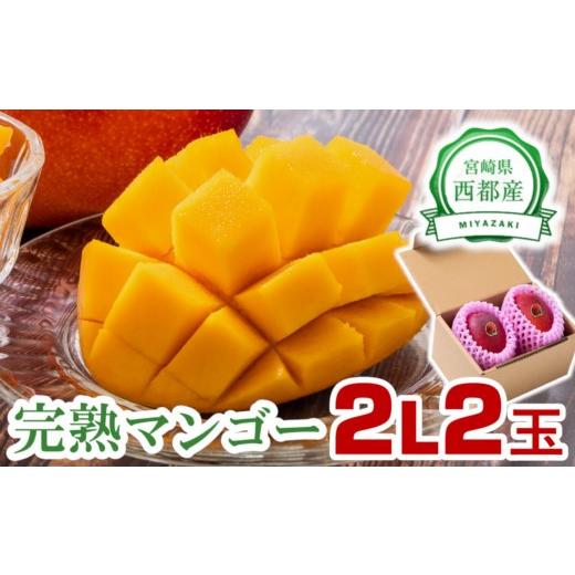 ふるさと納税 マンゴー 宮崎県 西都市 JA選果 完熟マンゴー 2L×2玉 糖度12度以上 先行予約 2026年発送 宮崎完熟マンゴー 西都市産 果物 フルーツ 甘い 宮崎…