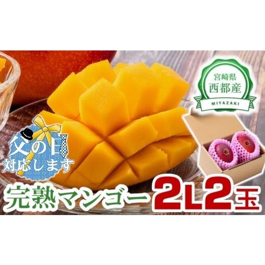ふるさと納税 マンゴー 宮崎県 西都市 父の日ギフト JA選果 完熟マンゴー 2L×2玉 糖度12度以上 先行予約 2026年発送 宮崎完熟マンゴー 西都市産 果物 フルー…