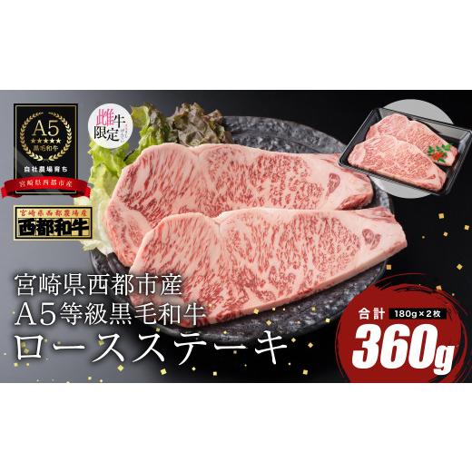ふるさと納税 牛肉 ステーキ 宮崎県 西都市 雌牛限定 最高品質のA5等級 厳選の黒毛和牛 ロースステーキ 2枚(180g×2) 牛肉 国産 宮崎県産 西都市産 カミチ…