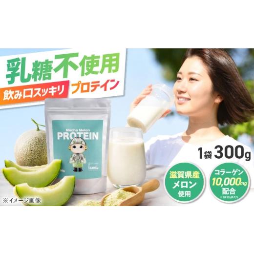 ふるさと納税 加工品等 滋賀県 長浜市 Mecha Melon プロテイン(メカメロンプロテイン) 1袋 滋賀県長浜市/山岡精機株式会社
